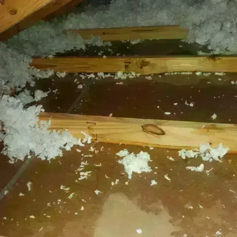 Attic Water Damage in Coachella, CA