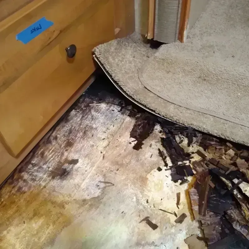 Wood Floor Water Damage in Coachella, CA